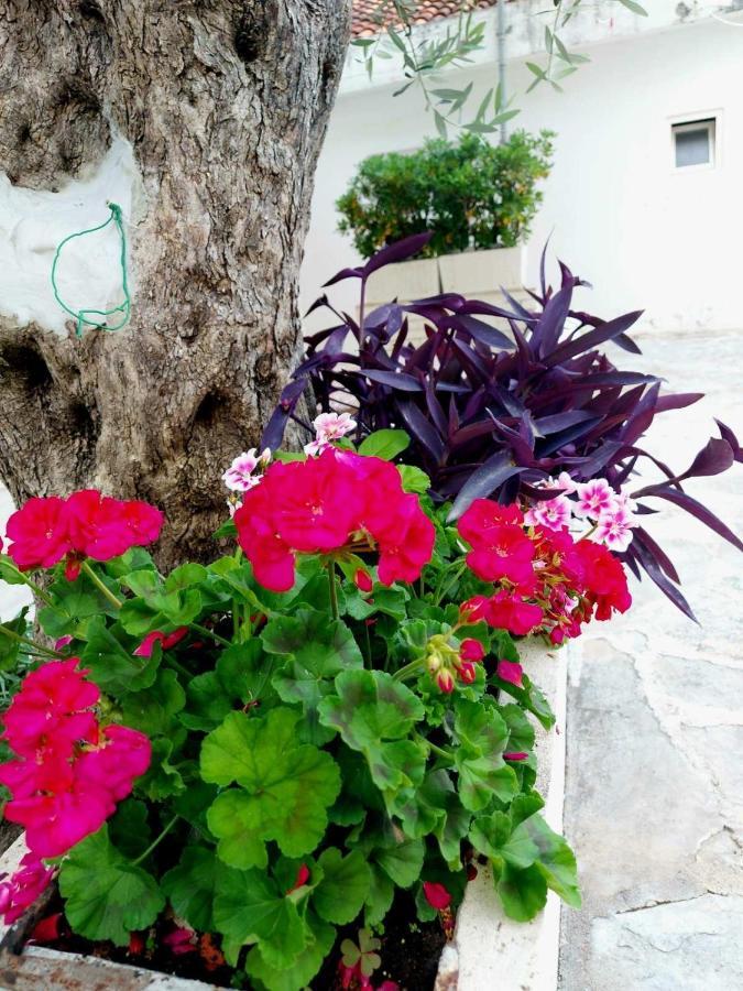Apartments Djuro Rafailovic Budva Extérieur photo